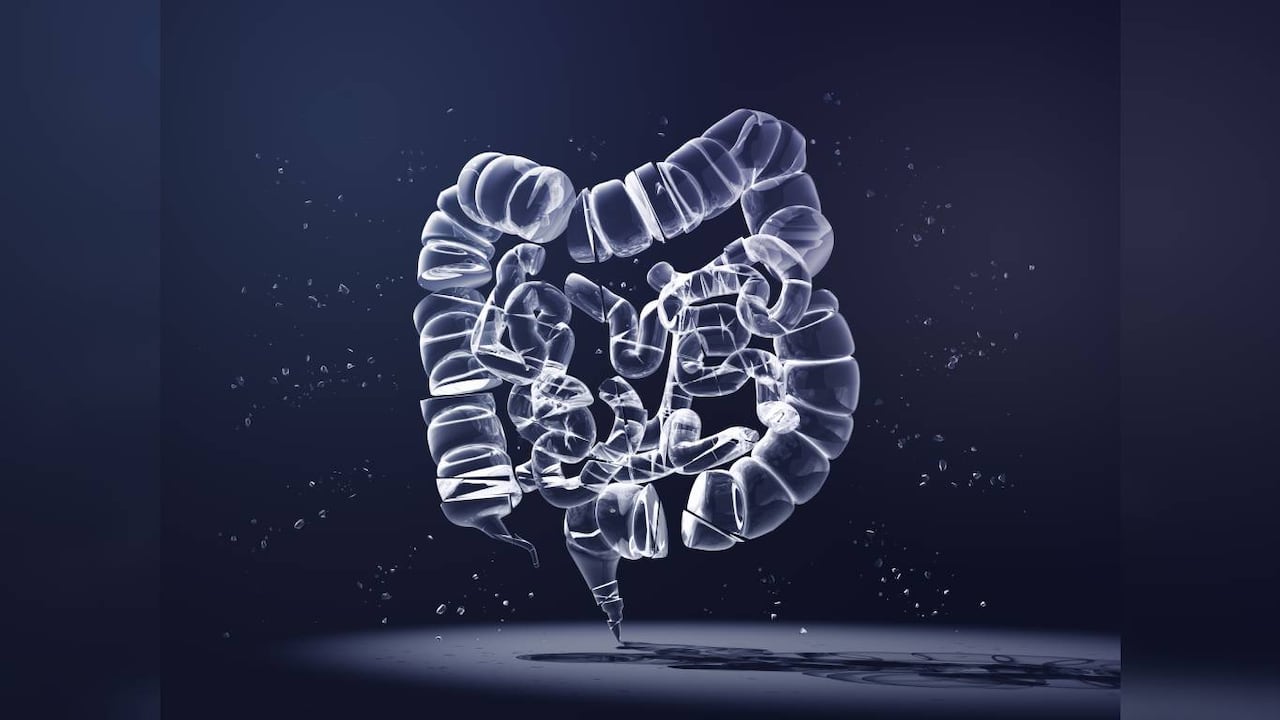 La microbiota, también conocida como flora intestinal, es el conjunto de microorganismos vivos o bacterias que se encuentran en el intestino.