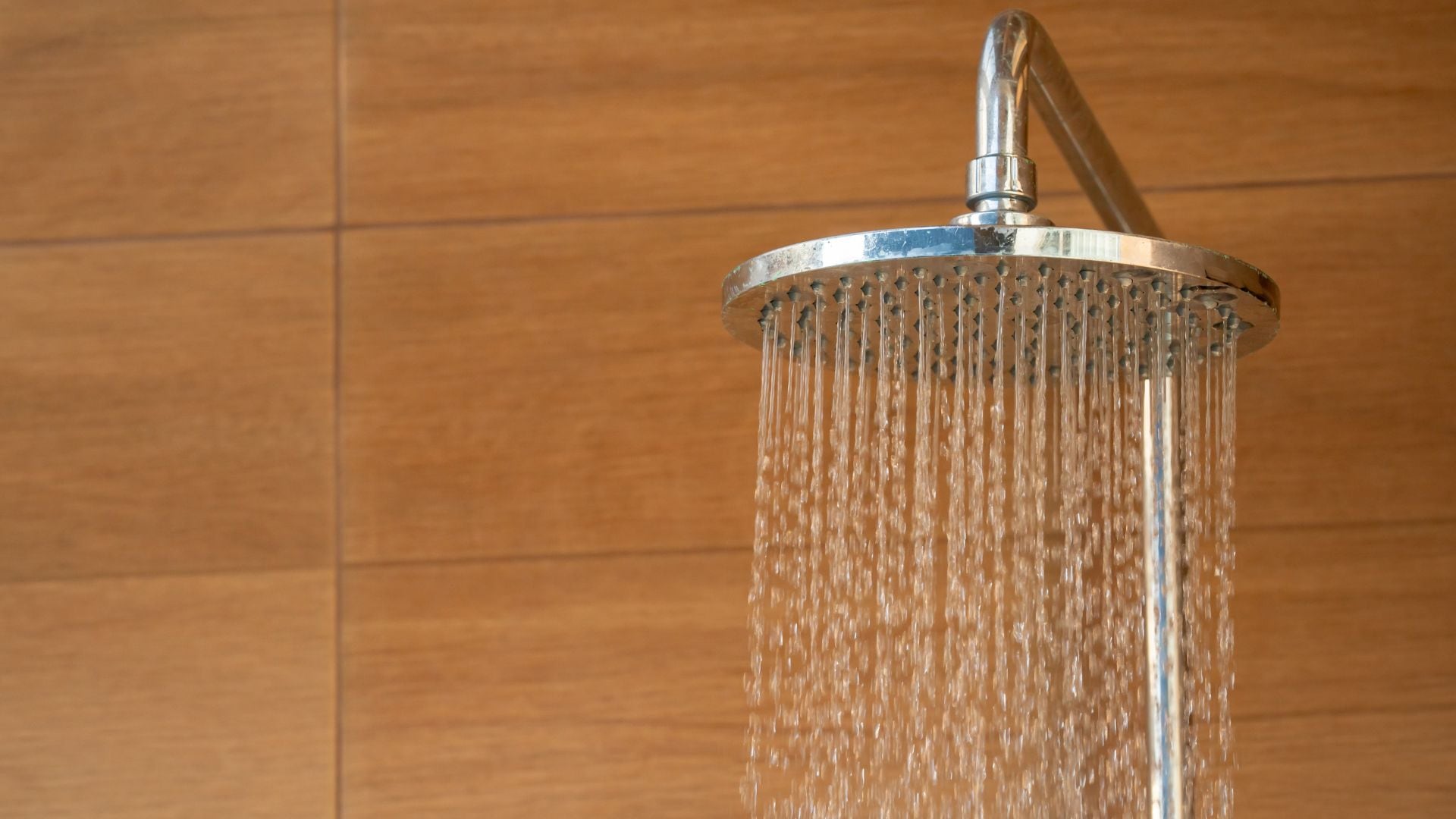 La limpieza no solo debe enfocarse en el inodoro o el lavamanos, sino también en la ducha y sus accesorios.