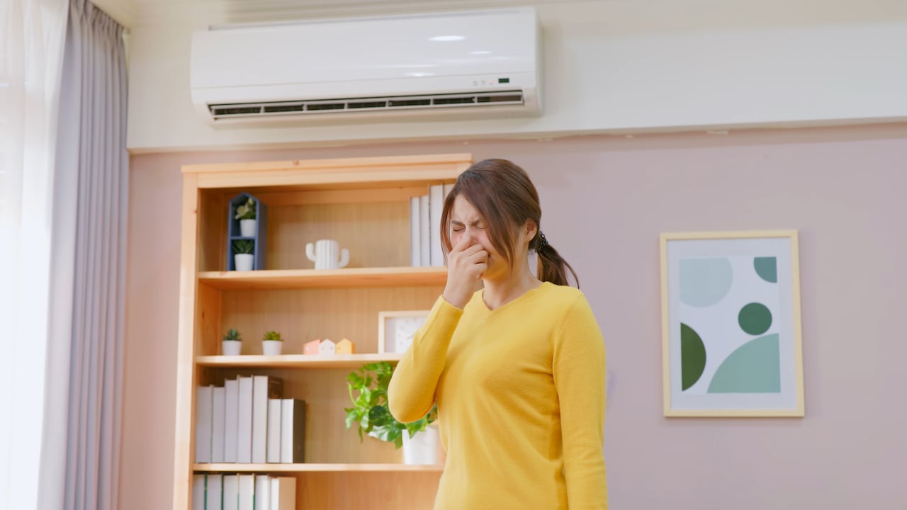 Normalmente, los malos olores en una vivienda son ocasionados por el encierro.