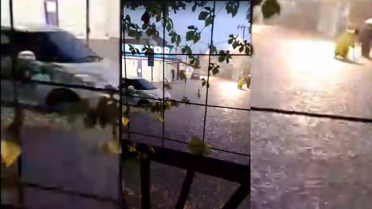 Varios vehículos resultaron afectados tras la fuerte tormenta que se vivió en Cali en la madrugada de este miércoles, 11 de octubre.