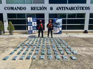 Narcos pretendían sacar 106 kilos de cocaína camuflados en bananos; así descubrieron el cargamento avaluado en 6,8 millones de dólares