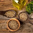 Las semillas de cáñamo tienen efectos antioxidantes que ayudan a regular el azúcar en la sangre.