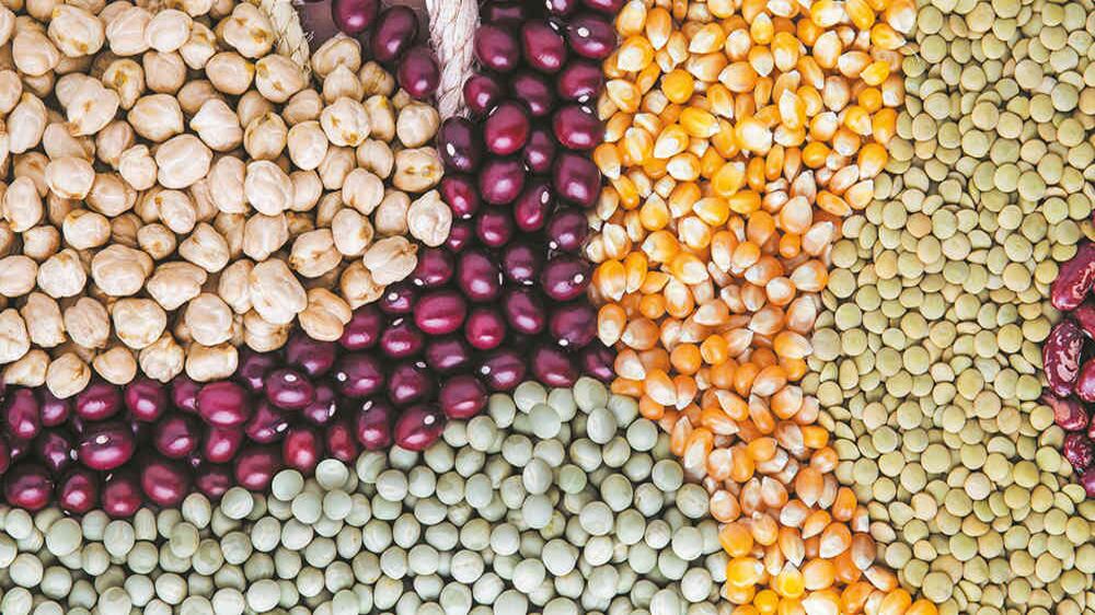 SuDespensa importa  leguminosas de Canadá desde los ochenta. Hoy, sus productos se pueden obtener en canales de venta tradicionales.