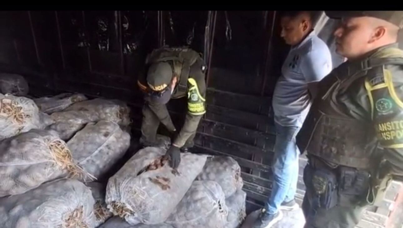 Droga decomisada en Cauca.