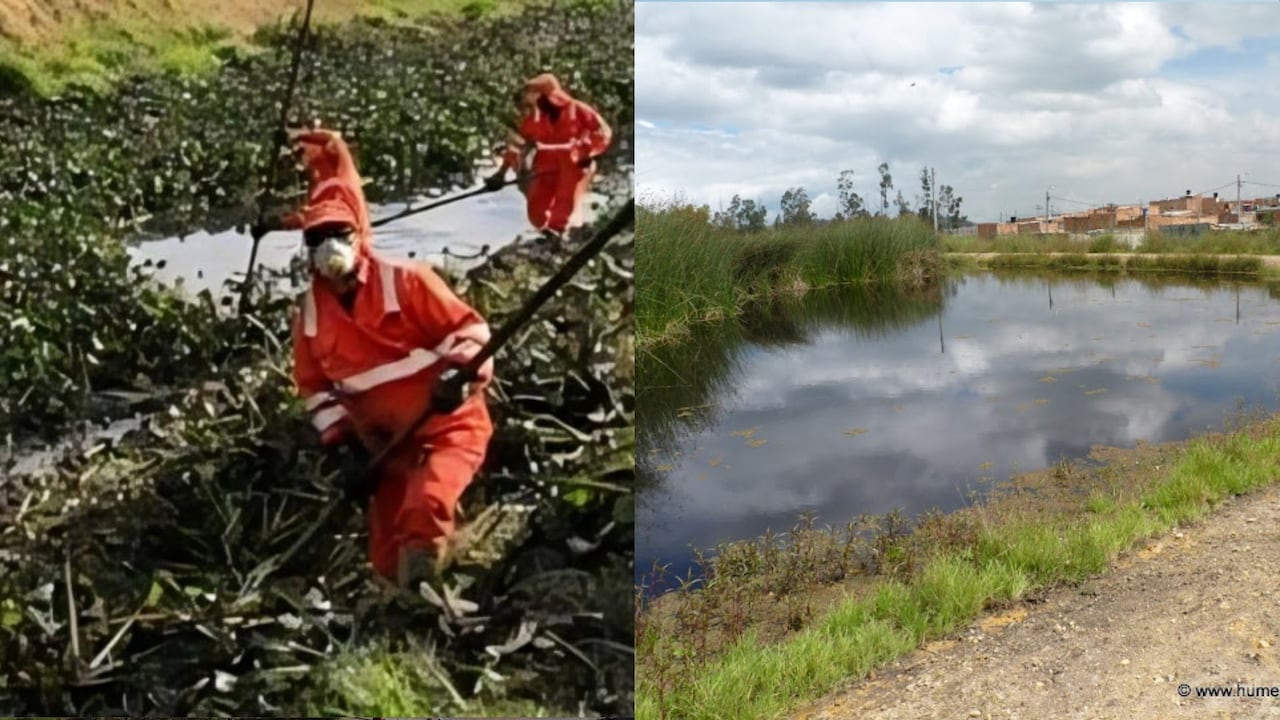 La jornada fue fundamental en el marco de las fuertes lluvias en la capital; la invitación es a no arrojar residuos en la calle.