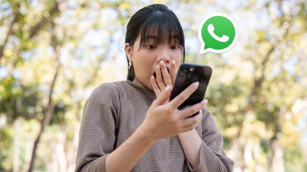 WhatsApp cumple un rol fundamental en el día a día