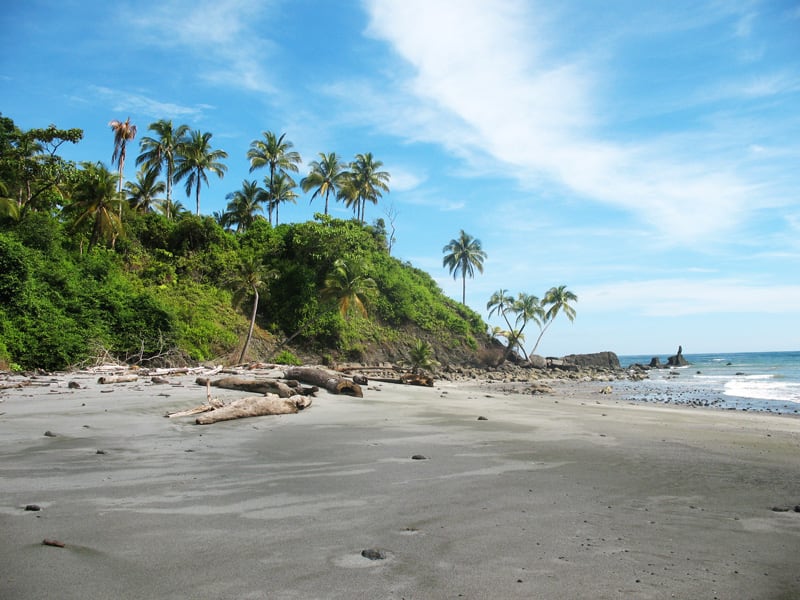 El sueño de cualquier amante de la ecología: ver las majestuosas ballenas jorobadas y escuchar su canto. Ellas empiezan a llegar en junio, y en agosto hay yubartas por todas partes, para terminar su retirada en noviembre.