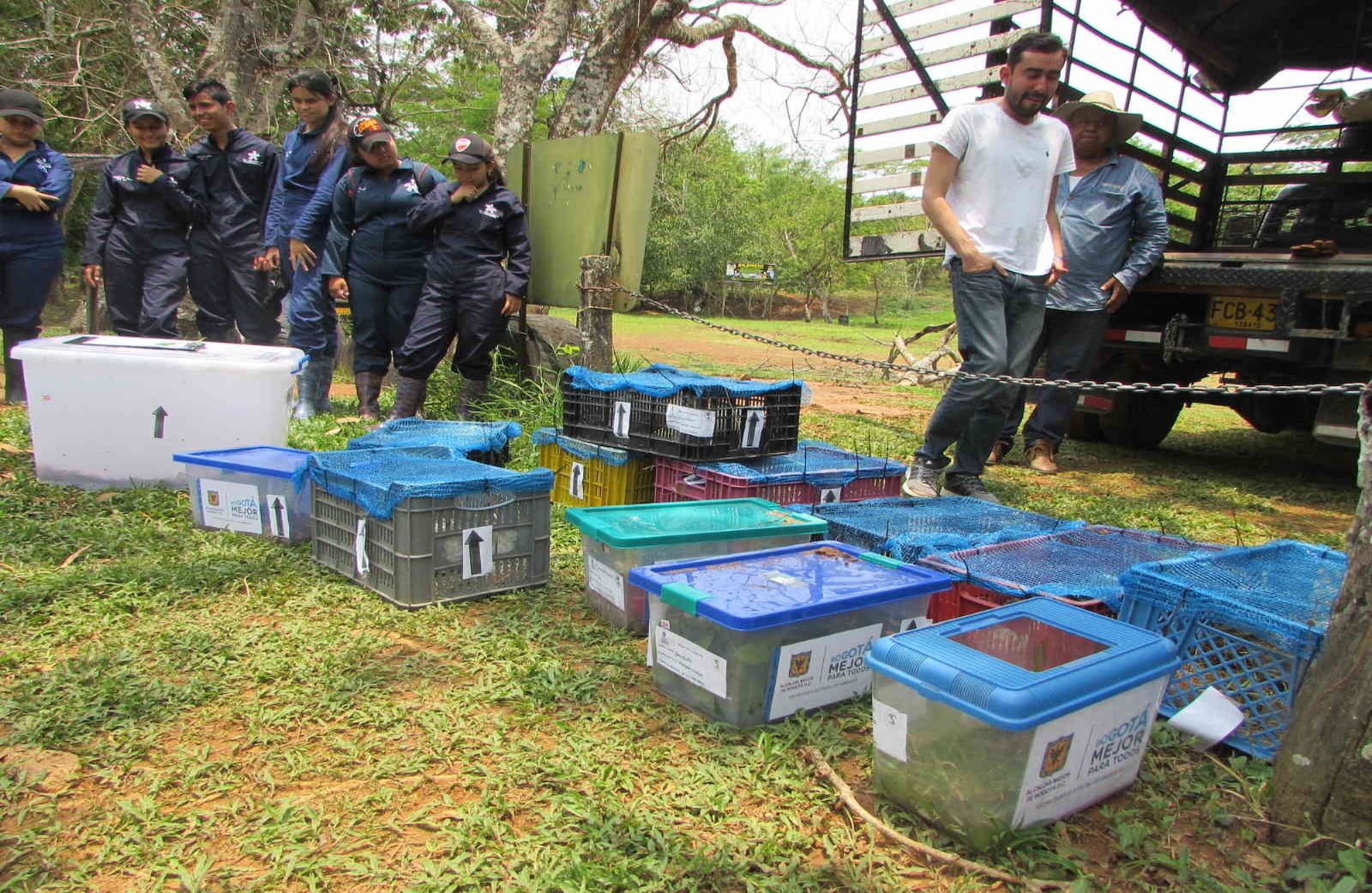Antes, el tráfico de fauna silvestre en Colombia tenía como epicentro las plazas de mercado de las principales ciudades. Ahora, el negocio macabro se mueve más por los medios digitales. Foto: Cormacarena