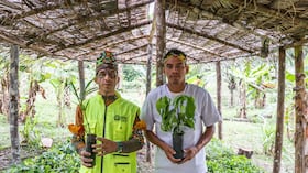 Saving The Amazon