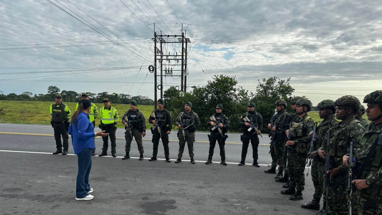 Operativos en el departamento de Meta