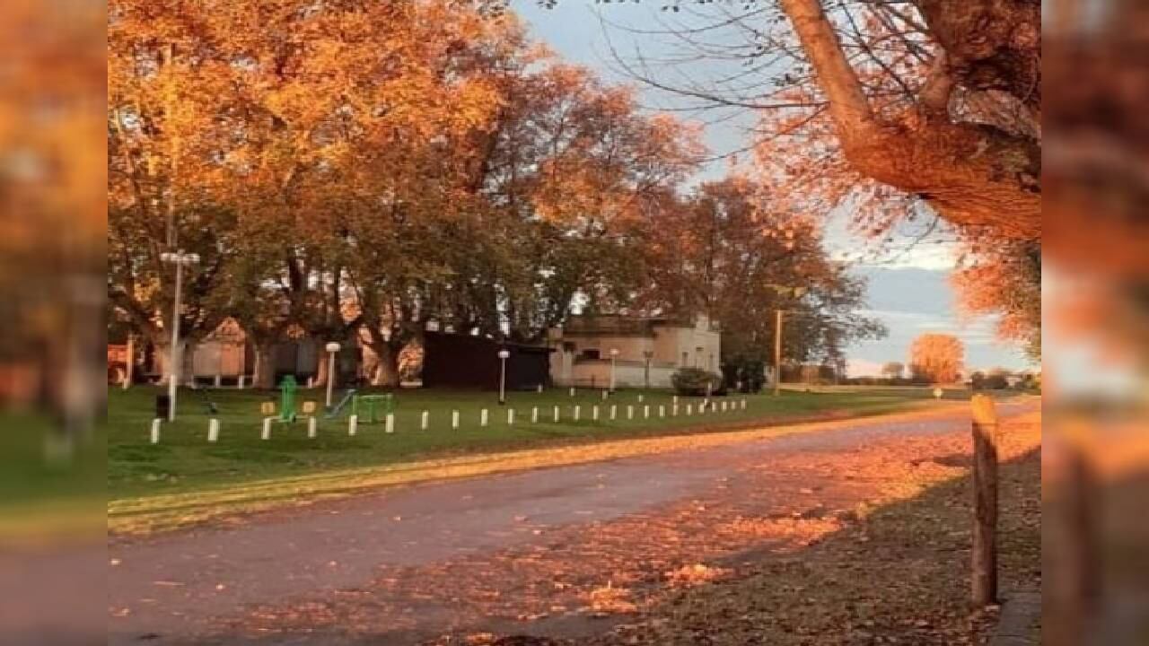 El establecimiento está ubicado en el "corazón del campo".