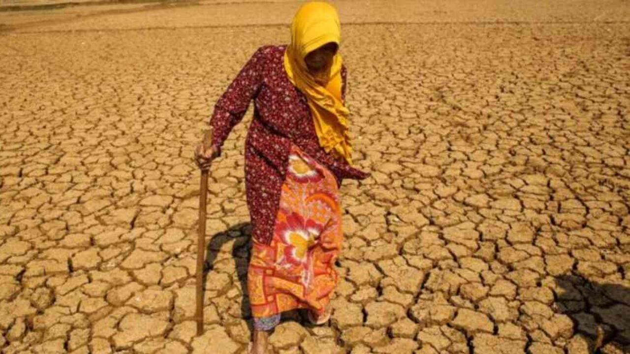 Si seguimos como vamos, la temperatura global podría incrementarse entre 3 y 5 grados centígrados. Getty Images