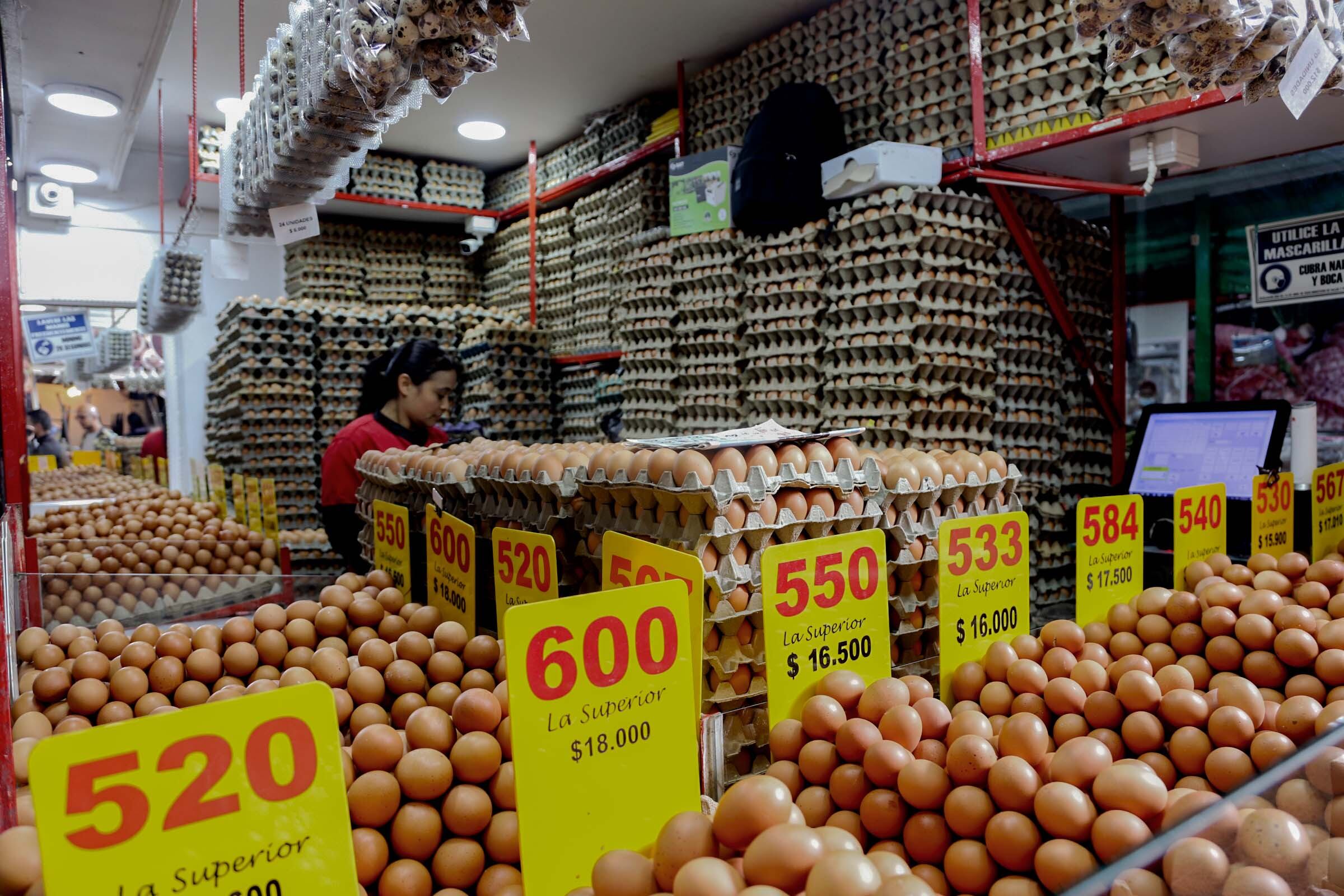 En enero de 2024, los precios de la canasta básica aumentaron 8,35 por ciento frente a enero de 2023.