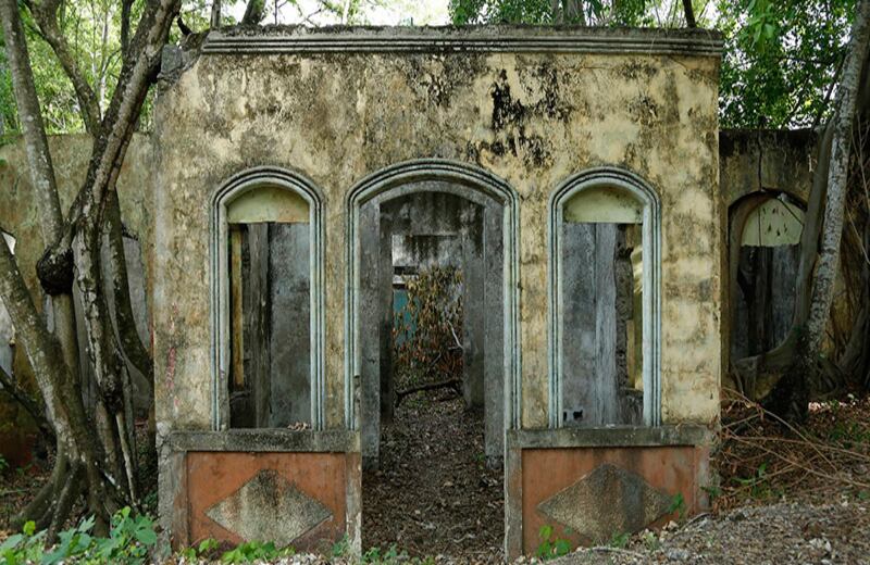 Las pocas casas que lograron mantenerse en pie luego de la avalancha, que según el Servicio Geológico de Estados Unidos arrastró unas 35 millones de toneladas de material, están siendo devoradas lentamente por las raíces de los árboles y la maleza.