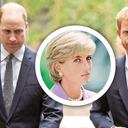 Los dos príncipes, hijos de Lady Di, solían ser inseparables hasta que se pelearon el año pasado.