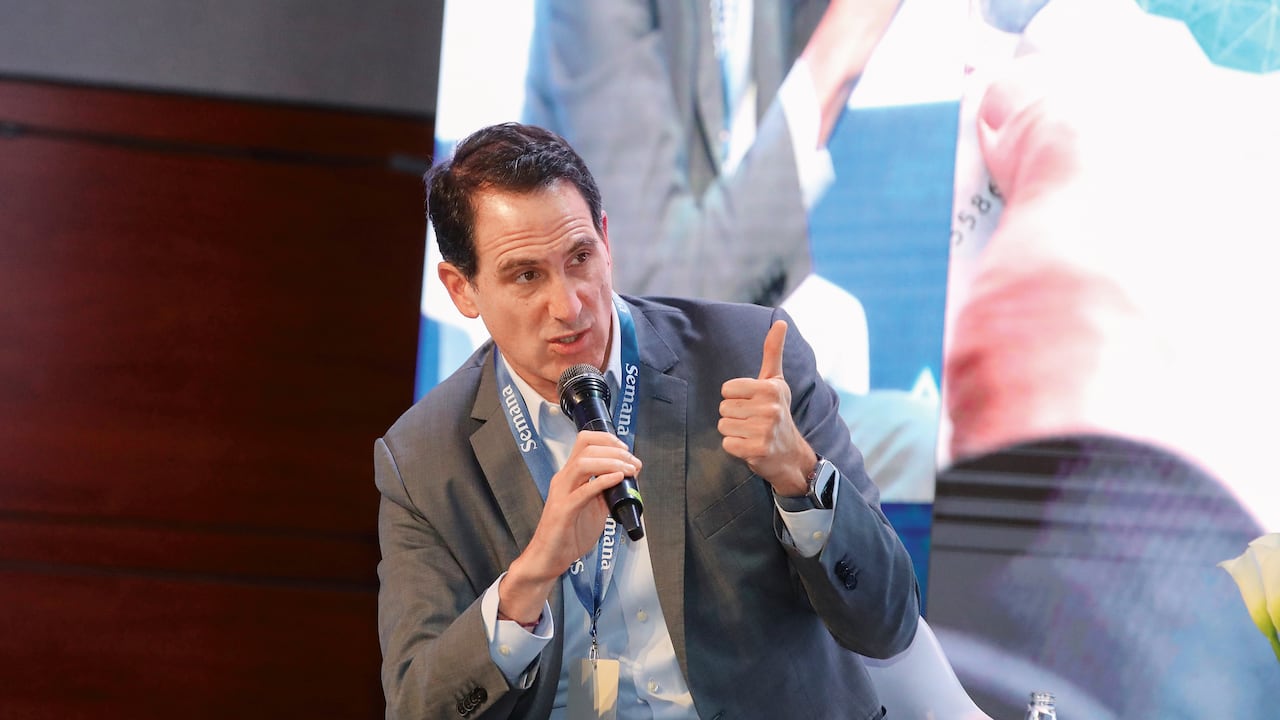 Tomás González, director del Centro Regional de Estudios de Energía CREE) y exministro de Minas y Energía.