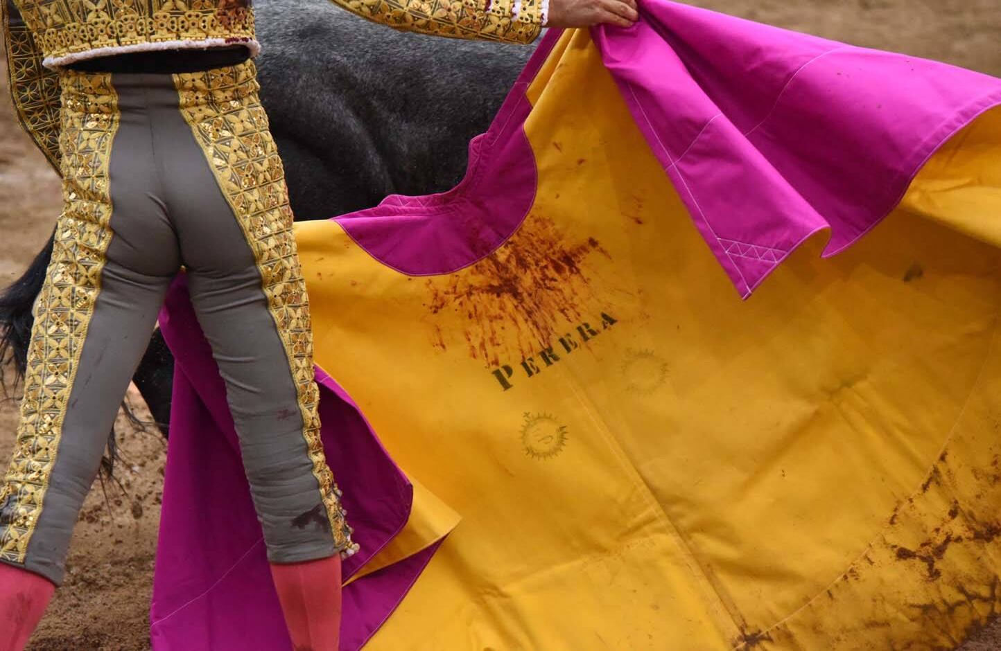 Miguel Ángel Perera. Cali, 30 de diciembre de 2017