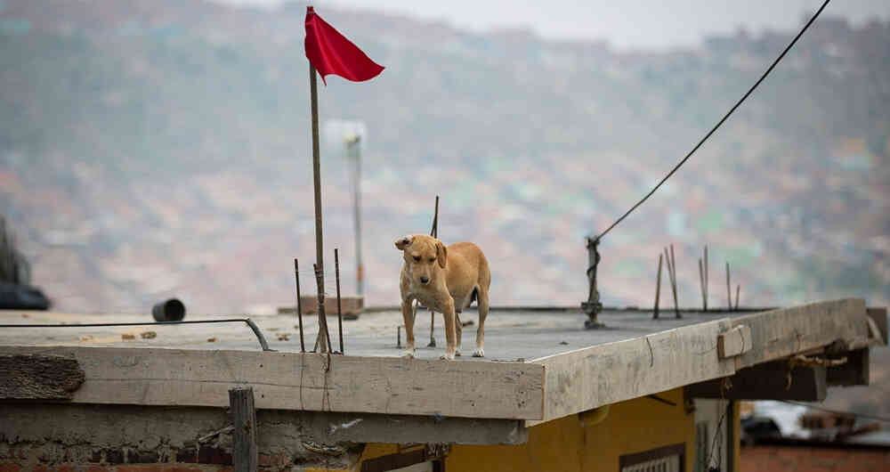 Durante la pandemia abundaron los hogares con trapos rojos, que enviaban señales de humo a falta de encendido en sus estufas.