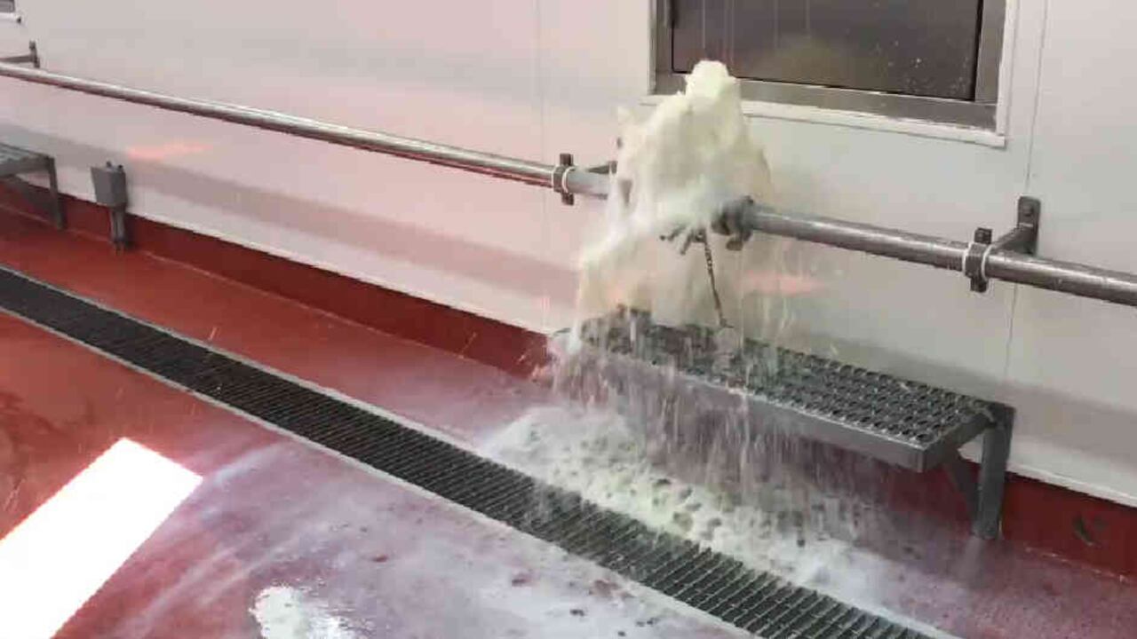 Desperdicio de leche en EE.UU