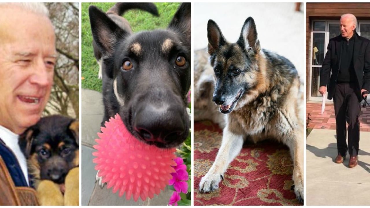 Major y Champ Biden se estrenan en las redes sociales