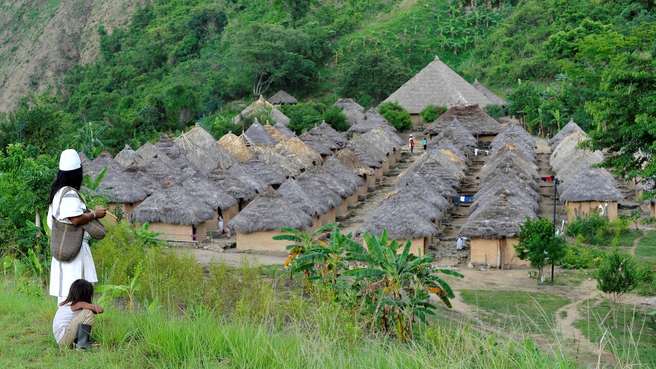 Los viajeros que visiten Santa Marta pueden aprovechar para realizar actividades como el ecoturismo, senderismo y avistamiento de aves.