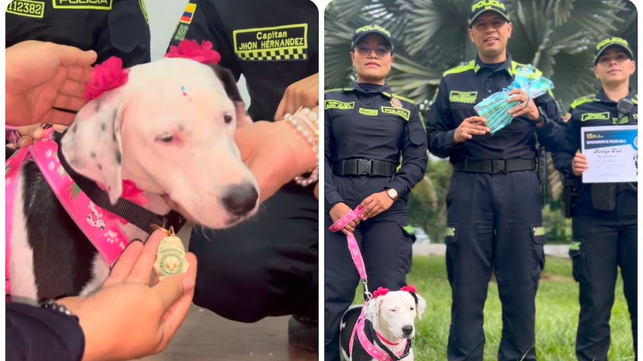 Estrellita, la perra policía.