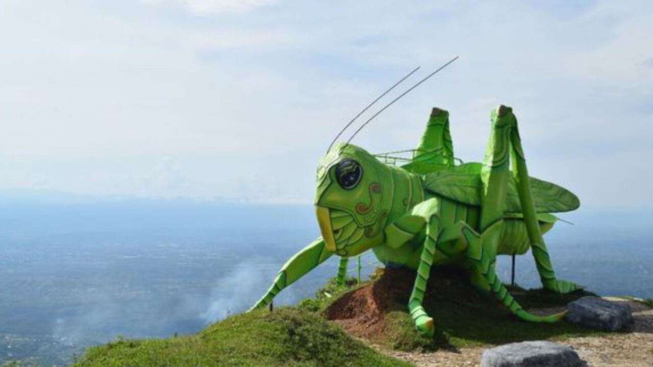 El Chapurro, montaña mágica en el Caguán