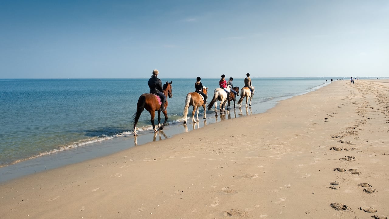 Colombia y República Dominicana comparten la tradición equina, esa fue la principal razón para generar la alianza turística entre ambos países.