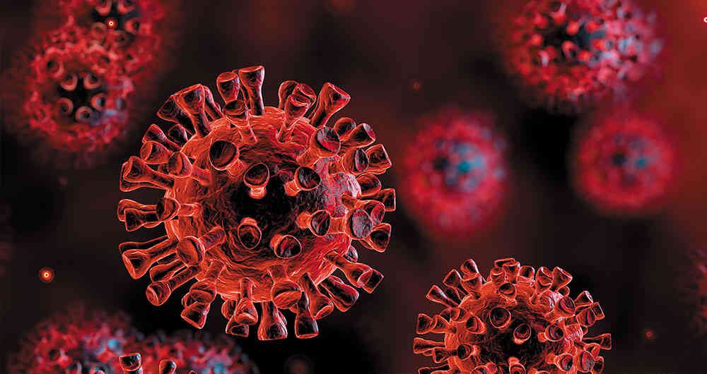 El 31 de diciembre de 2019, China reveló a la OMS la existencia de un brote de casos de pulmonía en Wuhan.