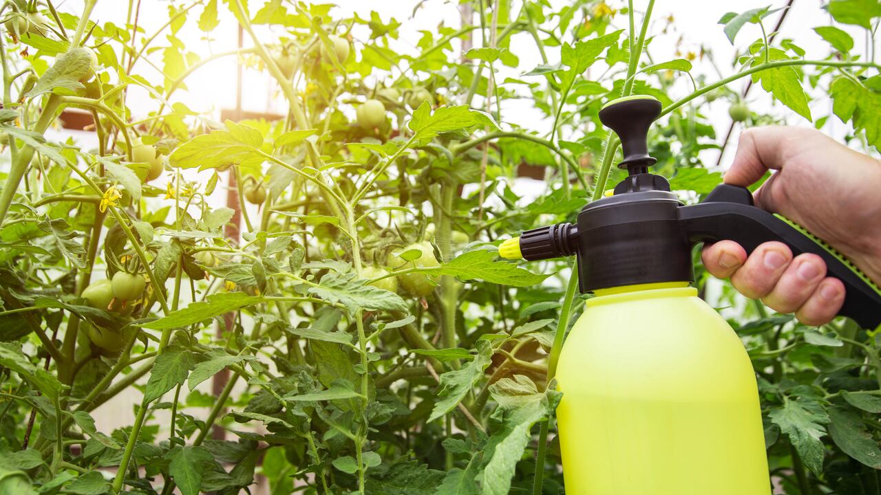 agua oxigenada para las plantas