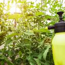 El agua oxigenada resulta favorable para las plantas.