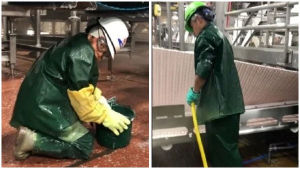 Empleados de PSSI en la planta JBS de Grand Island.