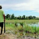 Alimentado por más 500 mil datos, ya está disponible en la página web de La Fundación Forjando Futuros. Ofrece información estadística de sentencias, procesos, víctimas, victimarios y predios, entre otros.