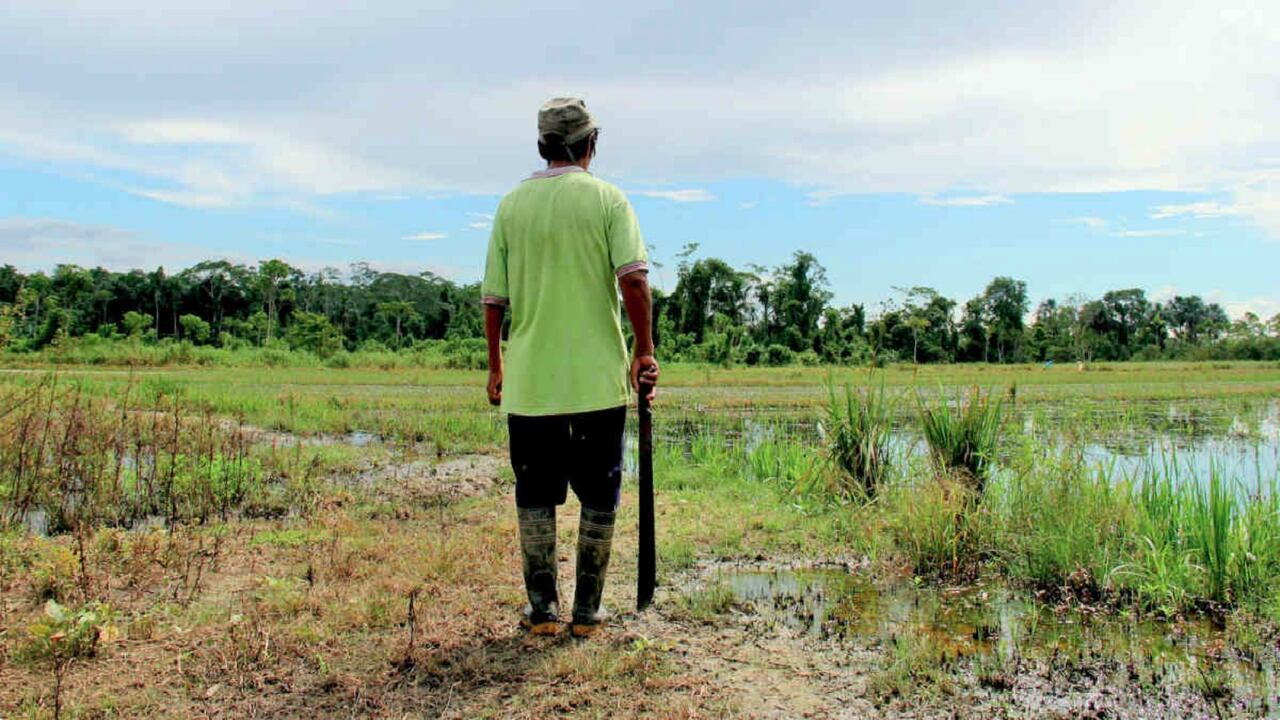 Durante el primer semestre de 2021 fueron asesinados 78 líderes sociales, según la Defensoría