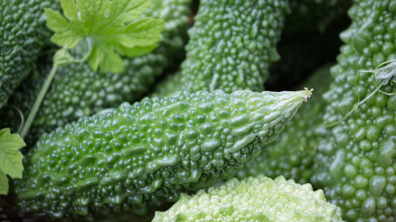 Esta planta se puede consumir en infusión, cápsulas o sofritos.