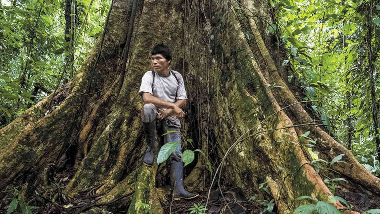 Poito, guía emberá dobidá, es uno de los pocos indígenas que conocen el camino a Jánano, un cerro tremendamente biodiverso que encierra leyendas sagradas para ellos y para las comunidades afro del golfo de Tribugá.