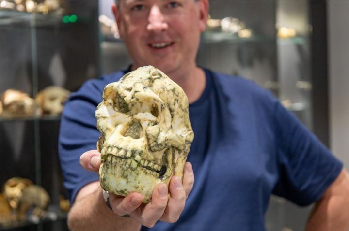 Nuevos estudios dieron otra lectura a un hallazgo clave de la evolución humana.