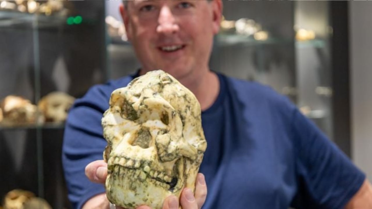 Nuevos estudios dieron otra lectura a un hallazgo clave de la evolución humana.