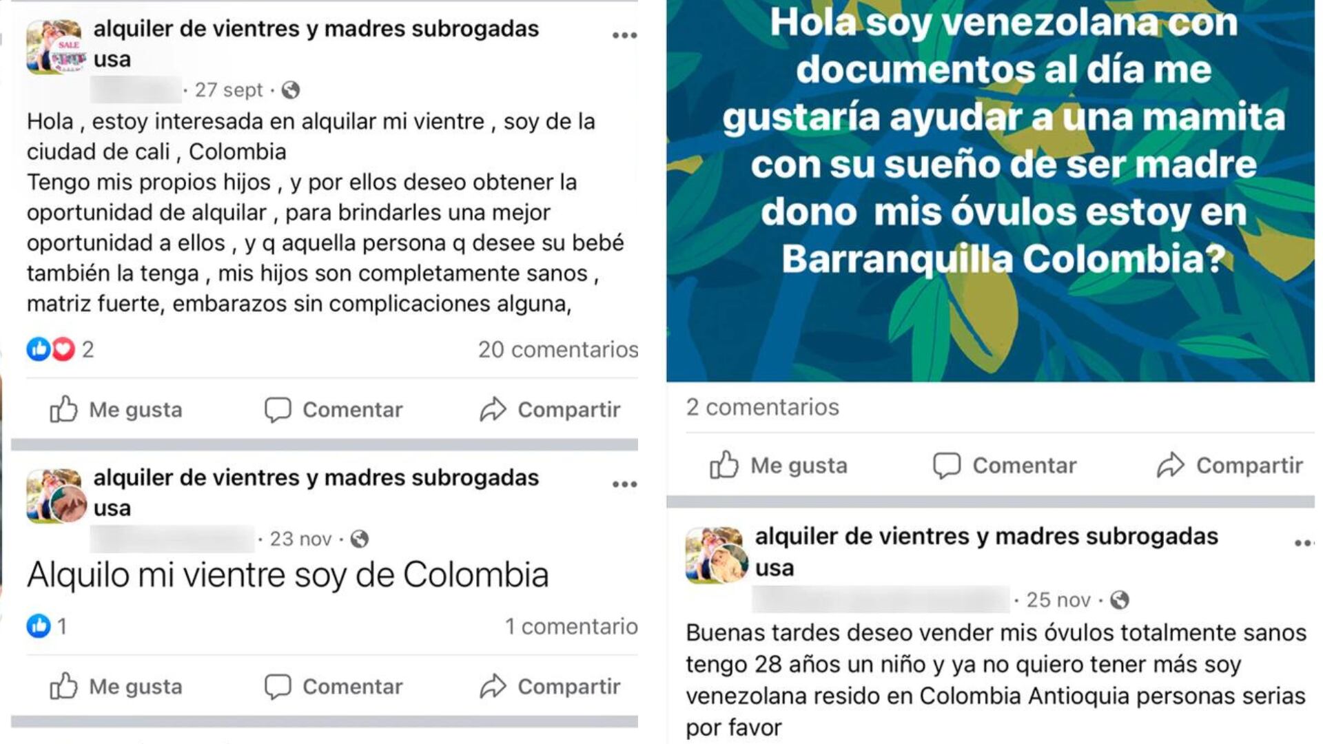 Algunos mensajes en redes sociales de gente que busca y ofrece alquiler de vientre.