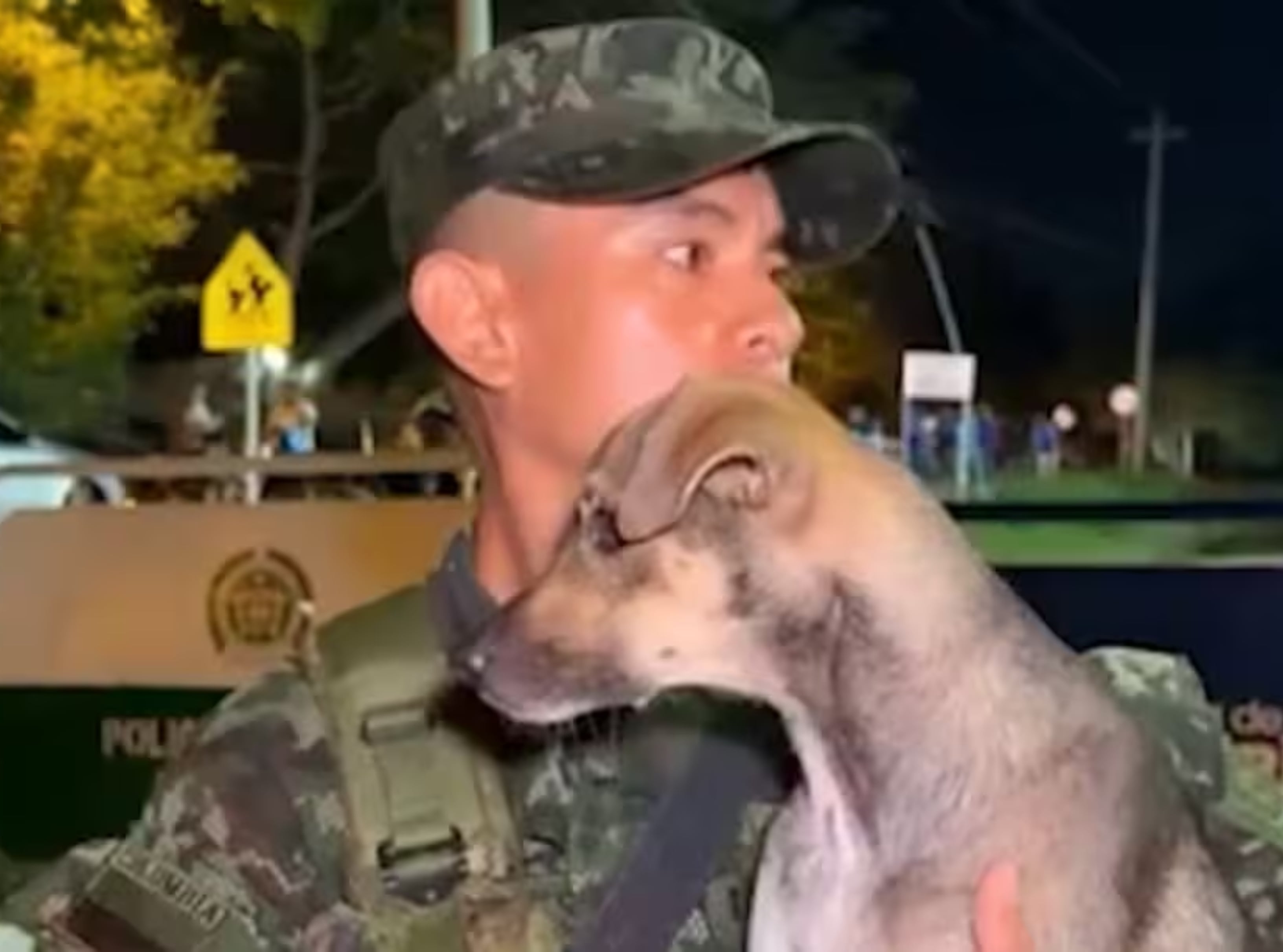 soldado del Ejército Nacional adopta a animal rescatado de las inundaciones