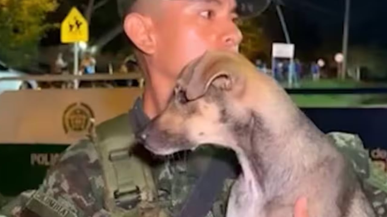 Soldado del Ejército Nacional adopta a animal rescatado de las inundaciones.