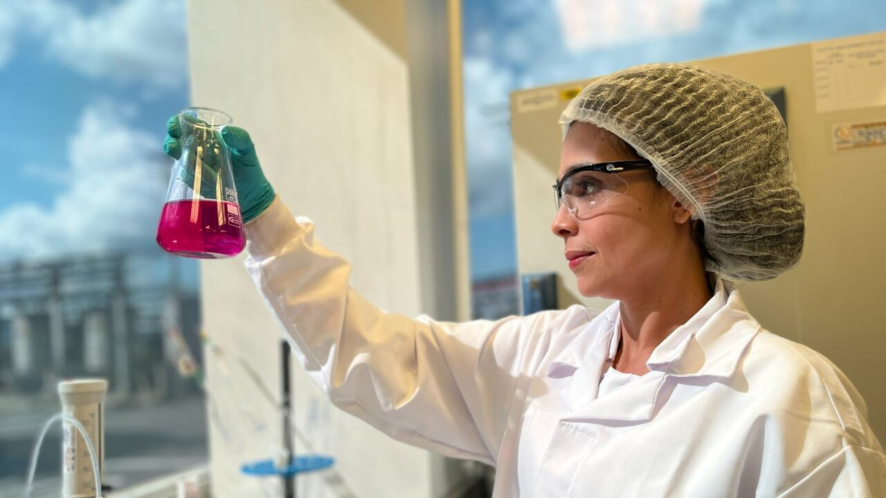 Revise todas las ofertas que hay para químicos a través del portal de empleos de Semana, ingresando en: https://www.semana.com/empleos/