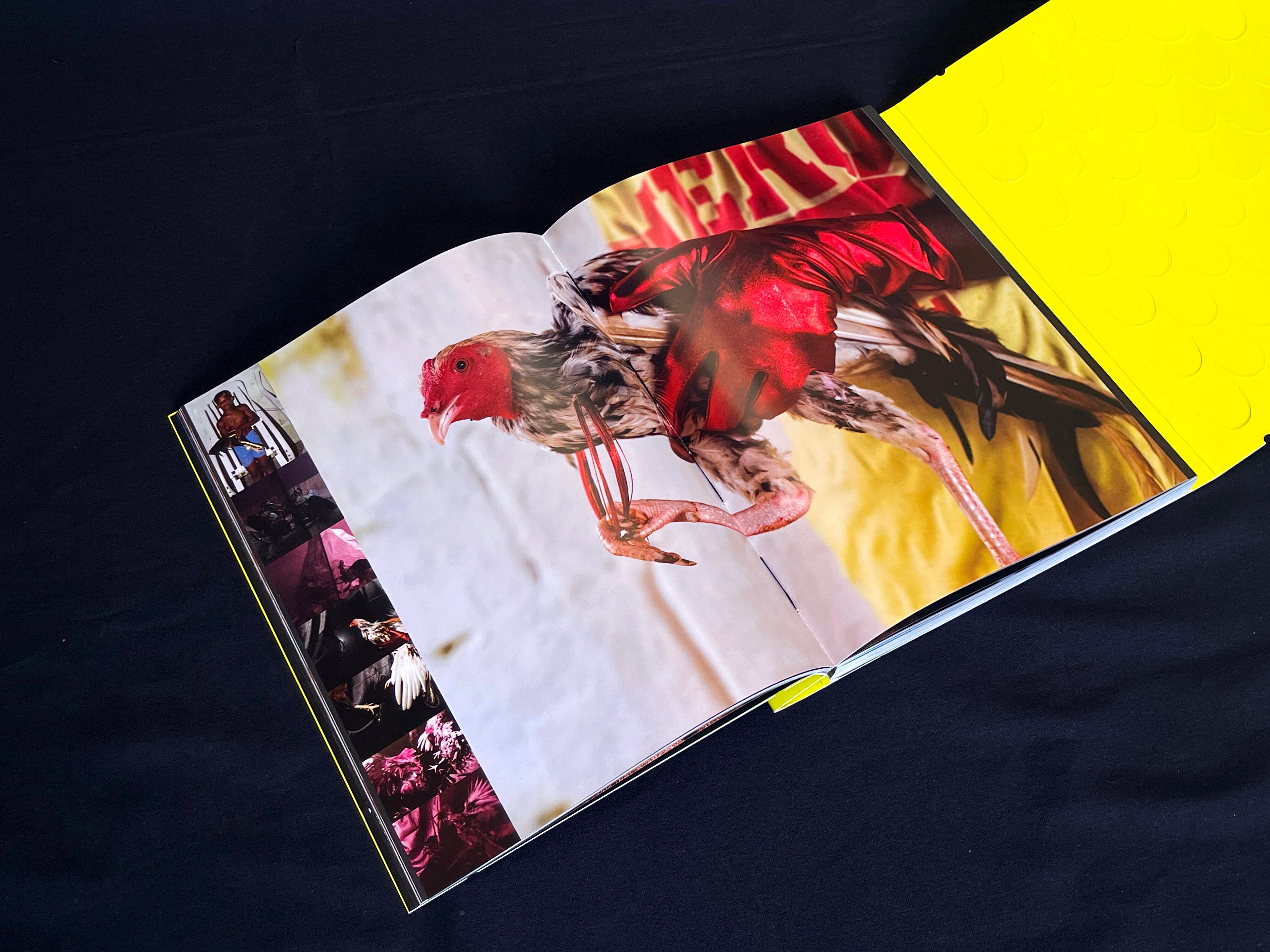 'El pez muere por  la boca', publicado en 2024 por Raya Editorial y Matiz Editorial.