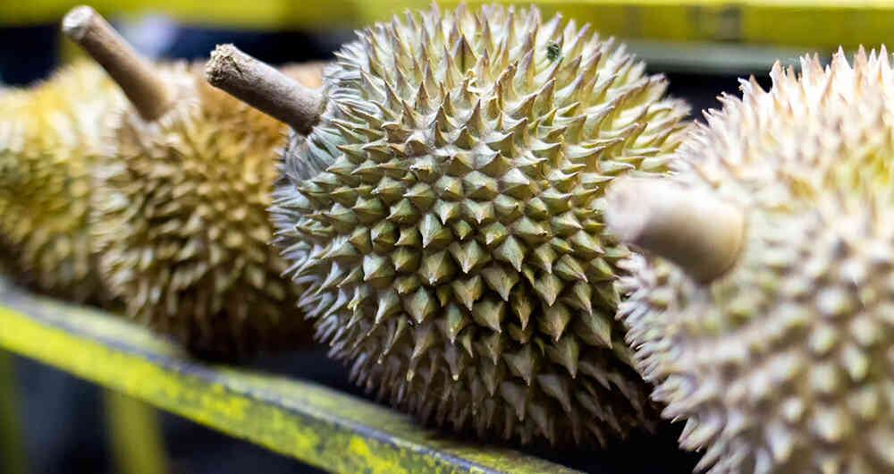 El durian es una de las frutas más comunes en los mercados de Indonesia.