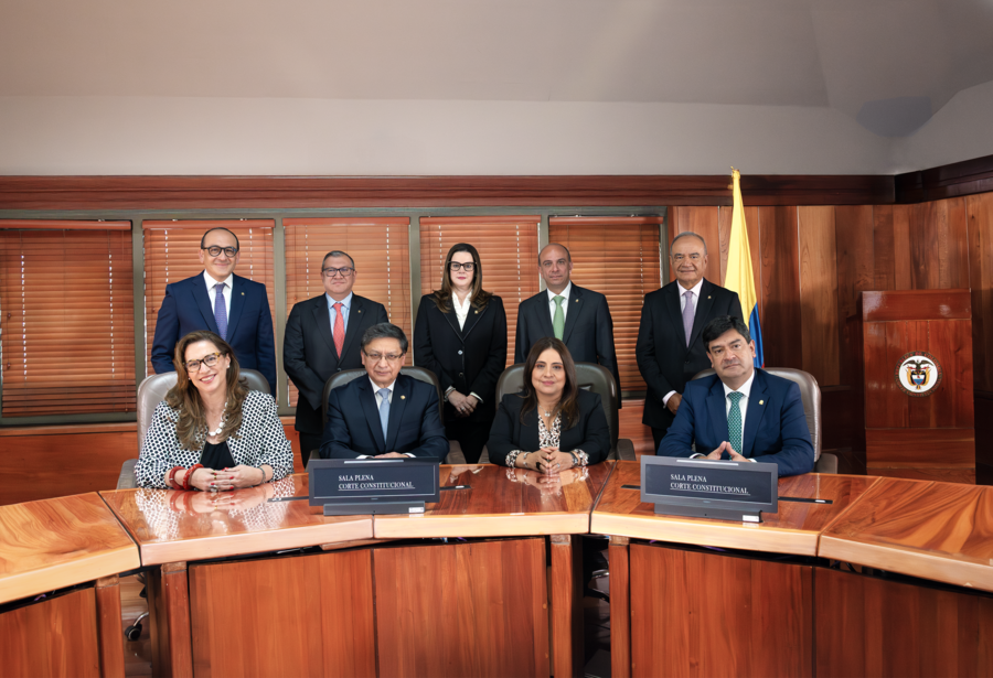 La sala plena de la Corte Constitucional fue la responsable de la decisión.