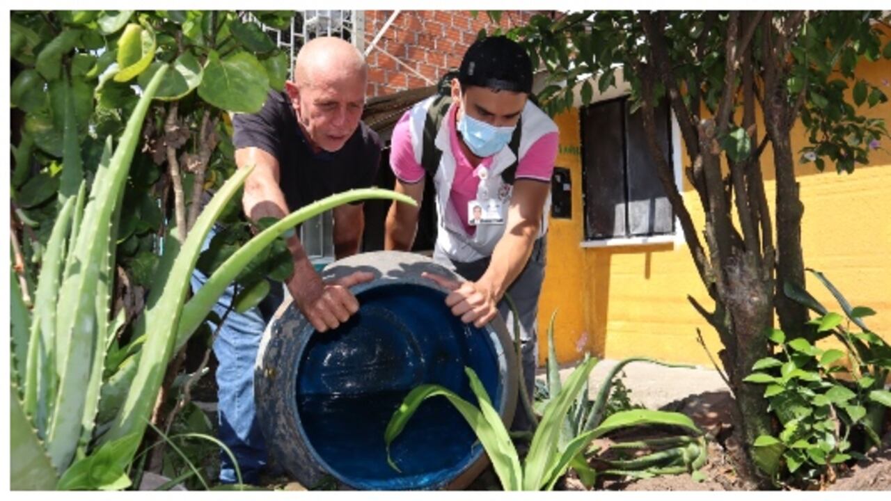 Las autoridades de varias ciudades adelantan jornadas de limpieza y eliminación de criaderos de mosquitos.