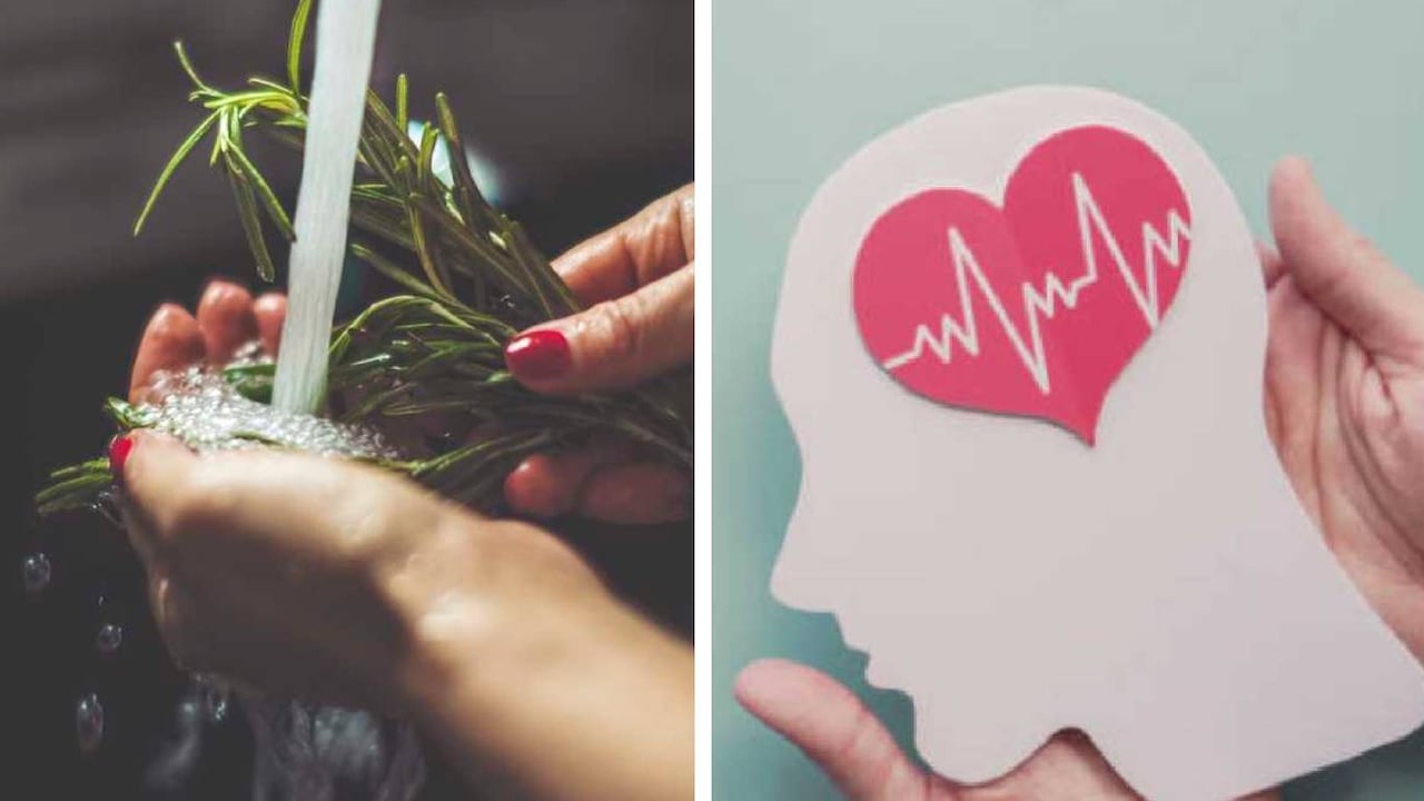 El romero es rico en propiedades antiinflamatorias y antioxidantes que disminuyen el riesgo de los efectos negativos por los radicales libres. Foto: Getty Images. Montaje SEMANA.