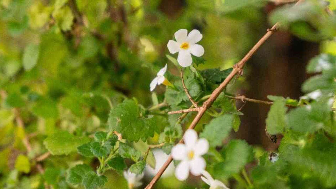 Compostpack nació en 2016 con el objetivo de cambiar los hábitos de consumo y la industria del plástico para construir un planeta más limpio.