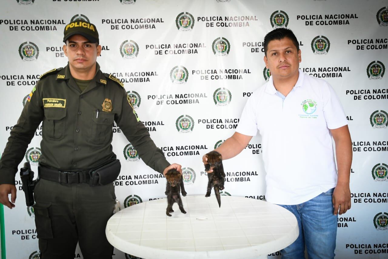 Ambos cachorros fueron llevados ante una autoridad policial que contactó a la autoridad ambiental