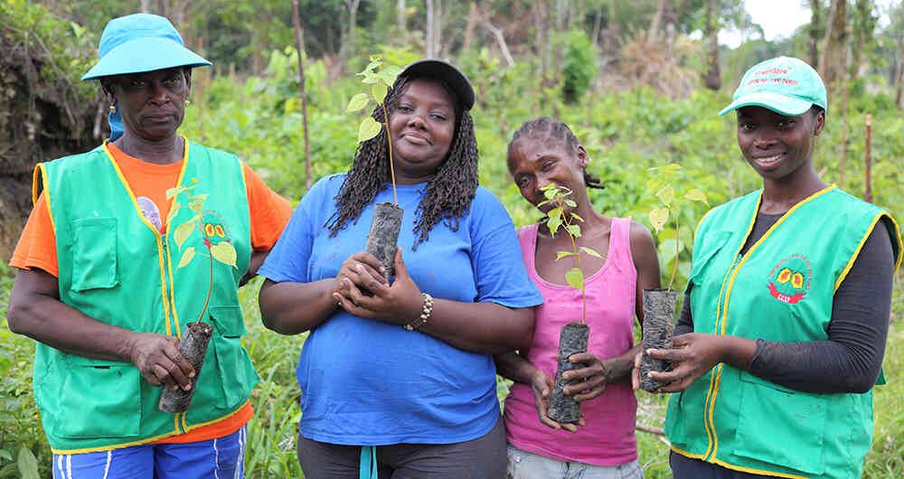 El programa Oro Legal para el 2020 debe dejar 11.500 hectáreas rehabilitadas.